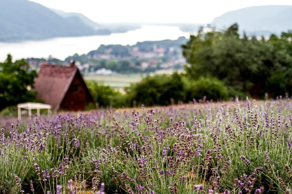 Natura Hill Panzio & Slow Food Fine Bistro Hotel Zebegény Exterior photo