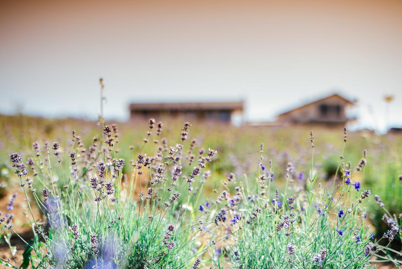 Natura Hill Panzio & Slow Food Fine Bistro Hotel Zebegény Exterior photo