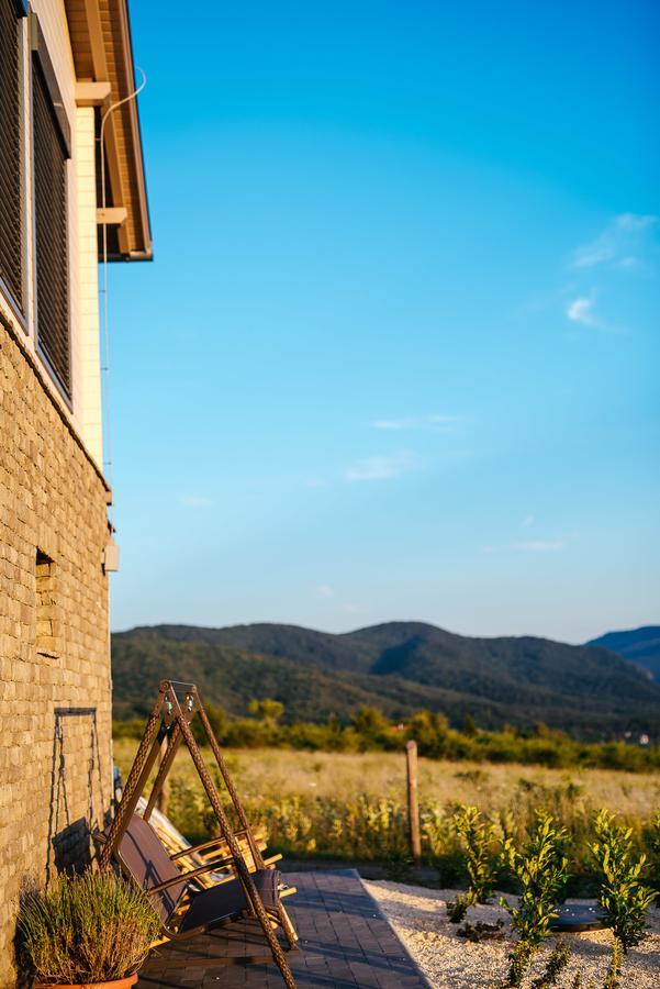 Natura Hill Panzio & Slow Food Fine Bistro Hotel Zebegény Exterior photo